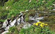 14 Secondo guado su ruscello carico d'acqua